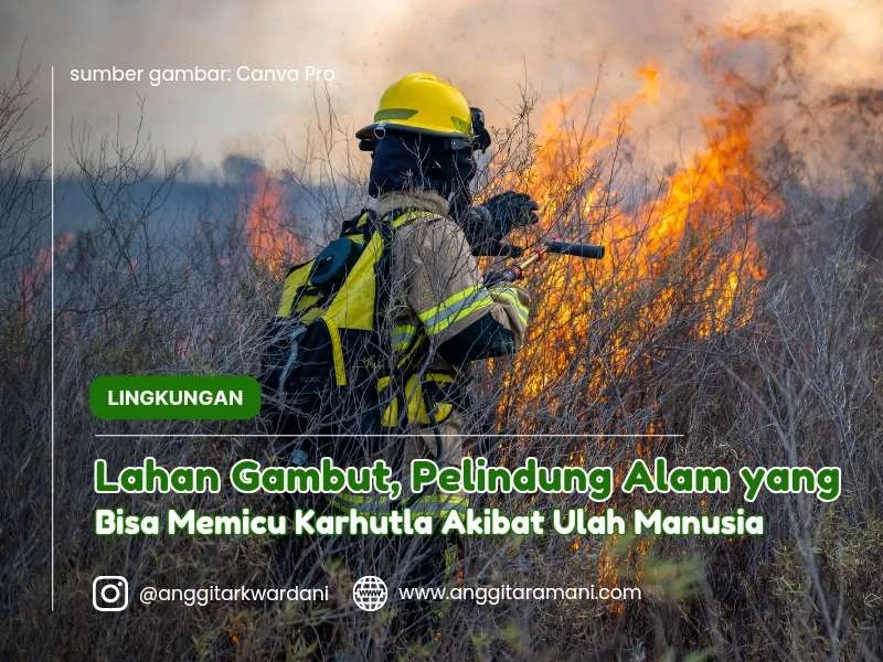 Mamuju dalam Sorotan: Dari Impian Muda Nabila Hingga Kebakaran Lahan
