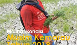Musim Kemarau Melanda Indonesia: Upaya Pemerintah dan Dampaknya