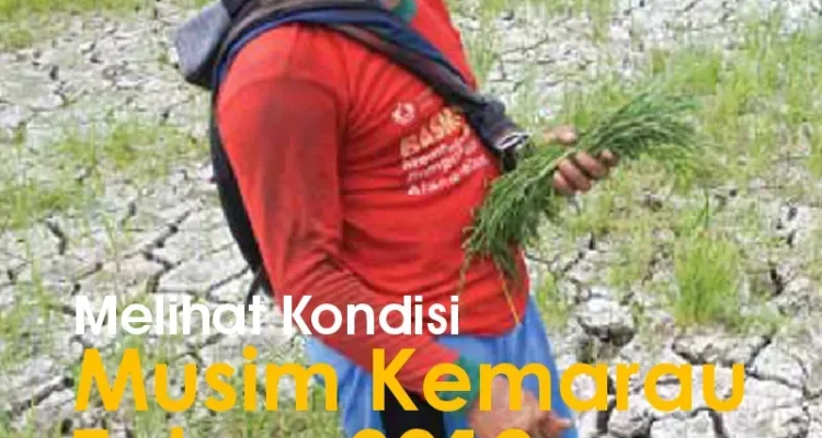 Musim Kemarau Melanda Indonesia: Upaya Pemerintah dan Dampaknya
