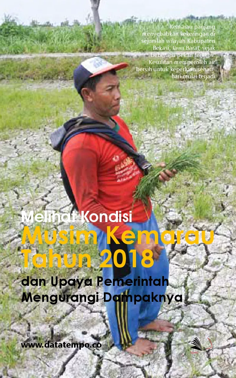 Musim Kemarau Melanda Indonesia: Upaya Pemerintah dan Dampaknya