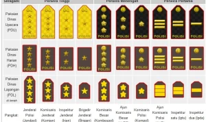 Pangkat Bintang Tiga Dicetak, Ini Dia Profil Lengkap 4 Komjen Polri Baru