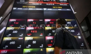 Pasar Saham Hari Ini: PCBL Chemical dan Dampak Kenaikan Suku Bunga Fed