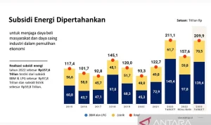 Pemerintah Beri Subsidi Kedelai dan Energi untuk Stabilisasi Ekonomi