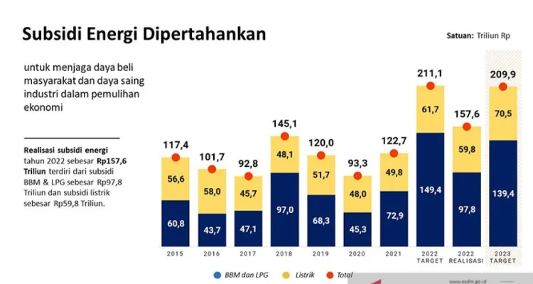 Pemerintah Beri Subsidi Kedelai dan Energi untuk Stabilisasi Ekonomi