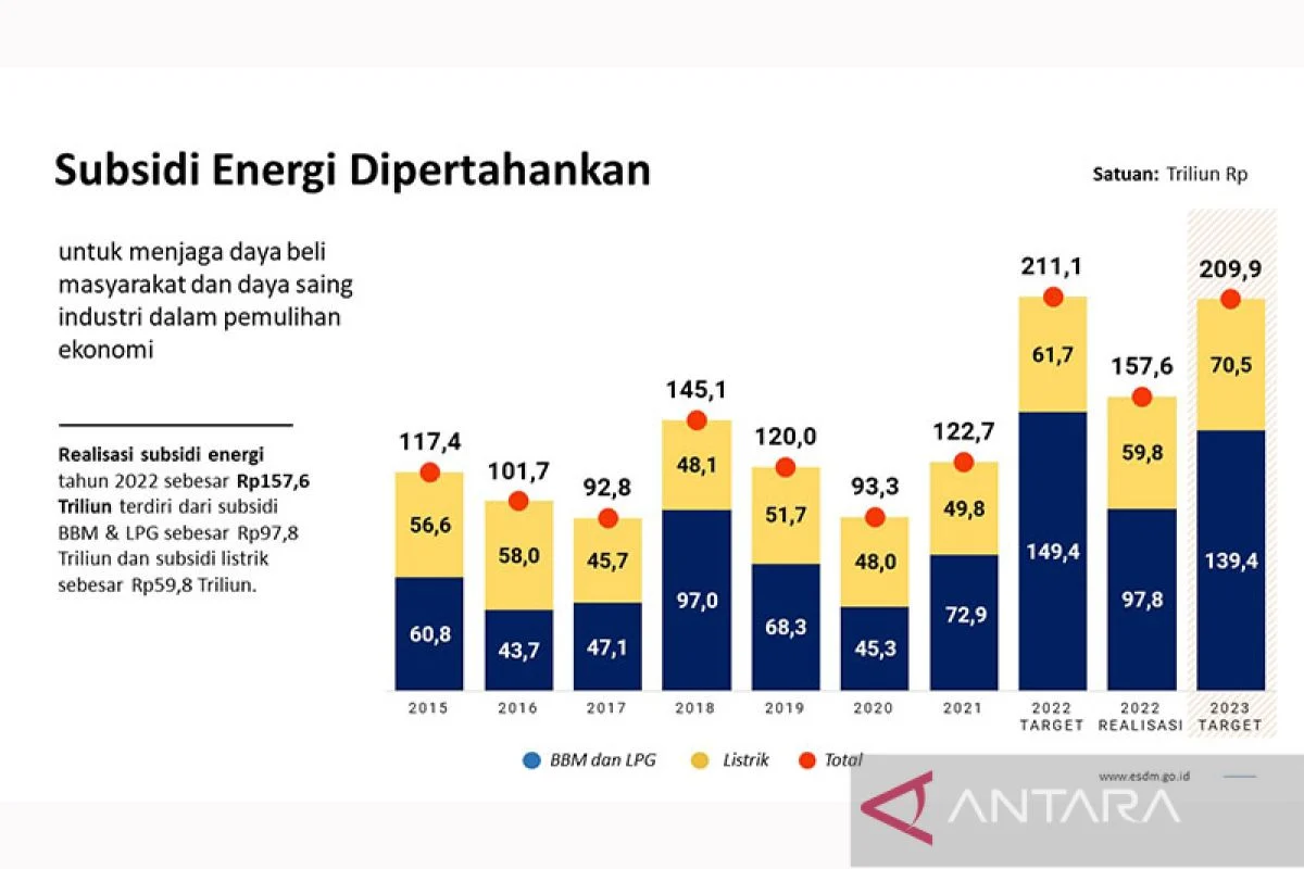 Pemerintah Beri Subsidi Kedelai dan Energi untuk Stabilisasi Ekonomi