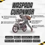 Pencurian Melanda Negeri: Dari Motor hingga Ompreng, Apa yang Terjadi?