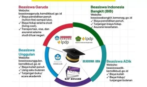 Pengumuman Undip dan Beasiswa Juli 2026: Peluang dan Kesempatan Baru