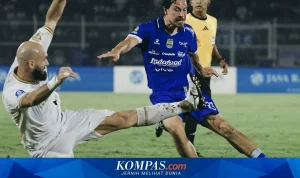 Persib Bandung Siap Rebut Gelar dengan Kedatangan Luka Menalo dan Sandy Walsh