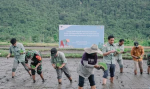 Proyek Strategis Nasional: Pemerintah Perkuat Akses dan Ketahanan Pangan