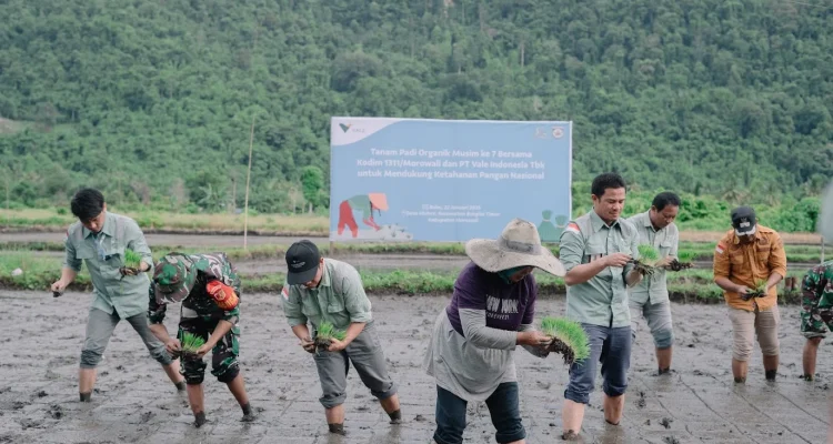 Proyek Strategis Nasional: Pemerintah Perkuat Akses dan Ketahanan Pangan
