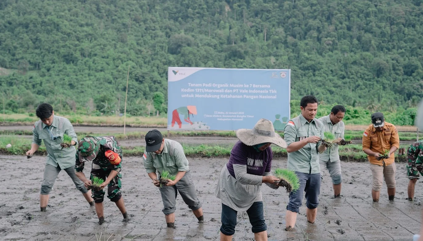 Proyek Strategis Nasional: Pemerintah Perkuat Akses dan Ketahanan Pangan