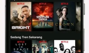 SBS On Demand dan Strategi Baru Netflix: Apakah Karriage Deal Bisa Berhasil di Australia?