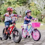 Shell Menghadapi Tantangan: Dari Helm Sepeda Motor yang Tumbuh Bersama Anak hingga Krisis Energi di Eropa