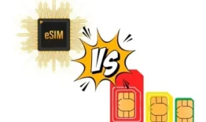 SIM: Antara Keamanan dan Kemudahan