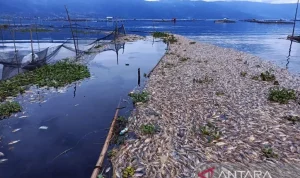 Suhu Ekstrem di Jawa: Dari Kematian Massal Ikan Hingga Udara Dingin di Bandung