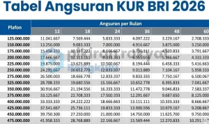 Tabel Pinjaman KUR BRI Juli 2026: Cara Daftar dan Simulasi Angsuran