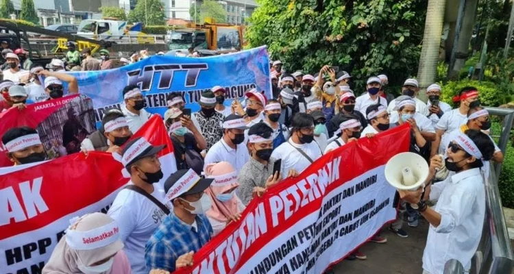 Aksi Demo Jakarta: Mahasiswa dan Peternak Ayam Menggelar Unjuk Rasa