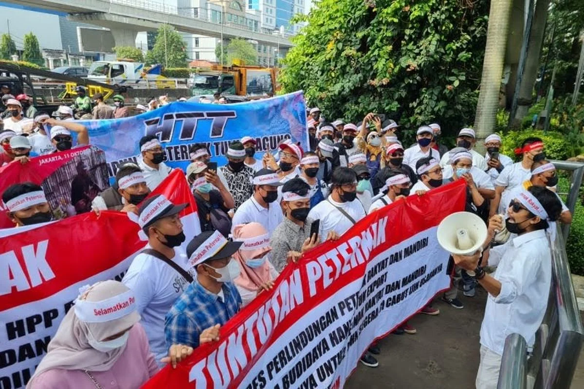 Aksi Demo Jakarta: Mahasiswa dan Peternak Ayam Menggelar Unjuk Rasa