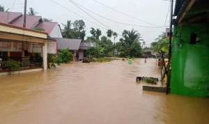 Banjir Padang: Pemko Padang Gerak Cepat Pulihkan Daerah Irigasi dan Bantuan Kemanusiaan