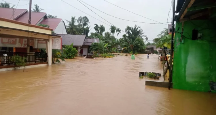 Banjir Padang: Pemko Padang Gerak Cepat Pulihkan Daerah Irigasi dan Bantuan Kemanusiaan