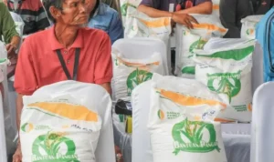 Bantuan Beras Disalurkan Serentak 17 Agustus, Masyarakat Desil 1-4 Dapat 30 Kg