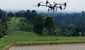 Berita Terkini: Dari Serangan Drone Hingga Kemenangan Melawan Kanker