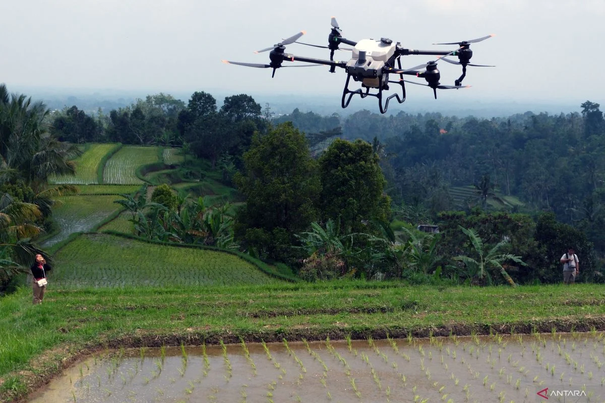 Berita Terkini: Dari Serangan Drone Hingga Kemenangan Melawan Kanker