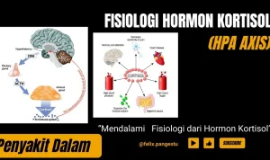 Black Widow: Antara Kaitan Kortisol dan Alzheimer, serta Cerita di Balik Layar Film dan Sepak Bola