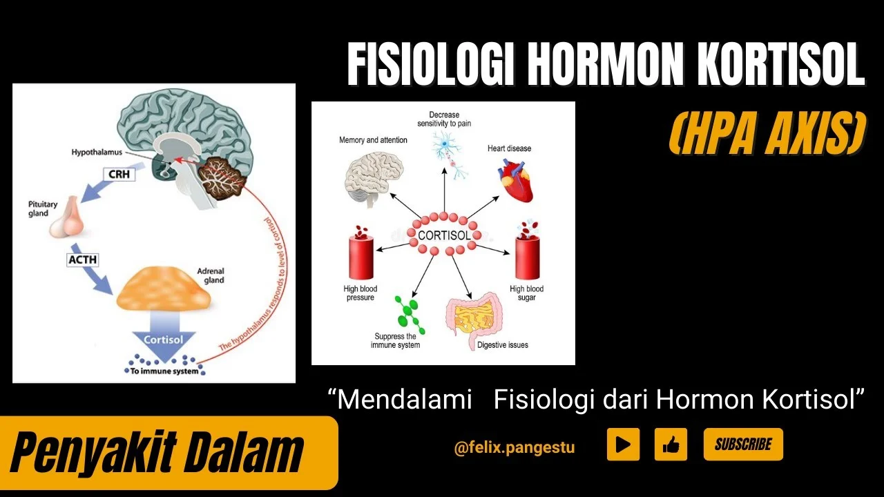Black Widow: Antara Kaitan Kortisol dan Alzheimer, serta Cerita di Balik Layar Film dan Sepak Bola