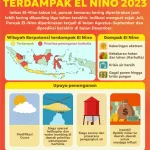 BMKG: Cuaca Ekstrem dan Dampak El Nino di Indonesia