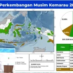 BMKG Prediksi El Nino 2026 Datang Lebih Cepat dan Berpotensi Sangat Kuat