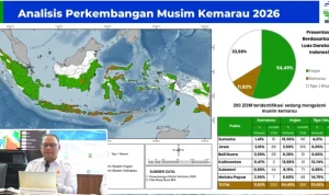 BMKG Prediksi El Nino 2026 Datang Lebih Cepat dan Berpotensi Sangat Kuat