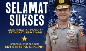 Brigadir Jenderal Polisi: Tokoh Kuat di Balik Penanganan Kedaruratan dan Ketertiban Masyarakat