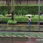 Cuaca di Pangkal Pinang dan Sekitarnya: Berawan Tebal dan Hujan Ringan