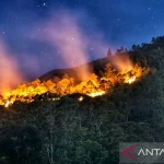 Cuaca Ekstrem Mengancam: Dari Kematian Singa di Jepang Hingga Kebakaran Hutan di Washington