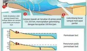 Gempa Bumi dan Tsunami: Mengenal Bahaya Alam yang Mengancam