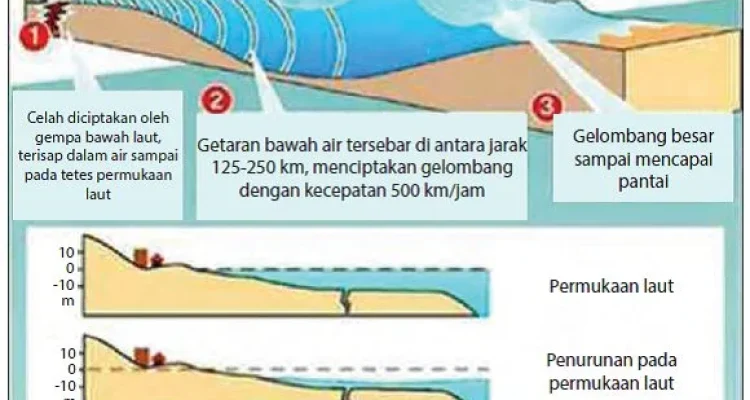 Gempa Bumi dan Tsunami: Mengenal Bahaya Alam yang Mengancam