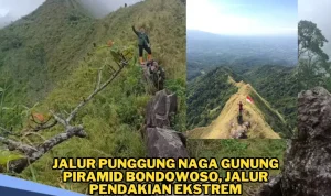Gunung Piramid Bondowoso: Jalur Ekstrem yang Menantang dan Menelan Korban