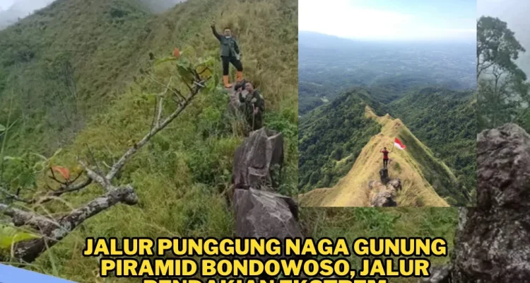 Gunung Piramid Bondowoso: Jalur Ekstrem yang Menantang dan Menelan Korban