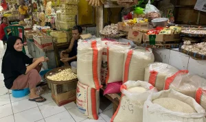 Harga Beras di Jawa Timur Mengalami Fluktuasi, Pemerintah Salurkan Bantuan Pangan Beras