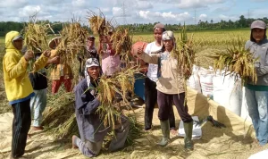 Indeks Desa Meningkat, Petani dan Nelayan Merasakan Dampak Positif