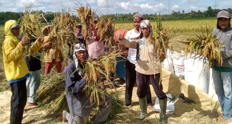 Indeks Desa Meningkat, Petani dan Nelayan Merasakan Dampak Positif