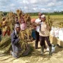 Indeks Desa Meningkat, Petani dan Nelayan Merasakan Dampak Positif