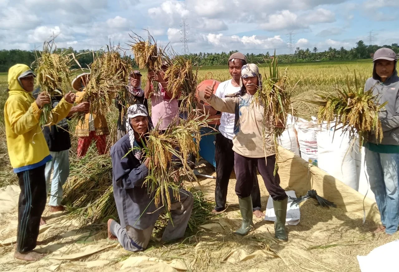 Indeks Desa Meningkat, Petani dan Nelayan Merasakan Dampak Positif