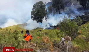 Kebakaran Hutan di Gunung Bromo Meluas, 176 Hektare Lahan Terbakar