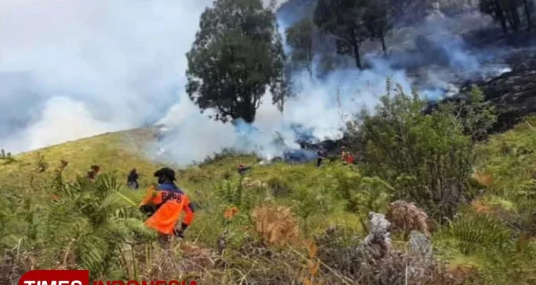Kebakaran Hutan di Gunung Bromo Meluas, 176 Hektare Lahan Terbakar