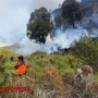 Kebakaran Hutan di Gunung Bromo Meluas, 176 Hektare Lahan Terbakar