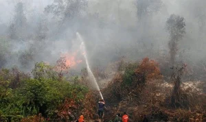 Kebakaran Hutan di Indonesia: Ancaman Besar bagi Lingkungan dan Kesehatan Masyarakat