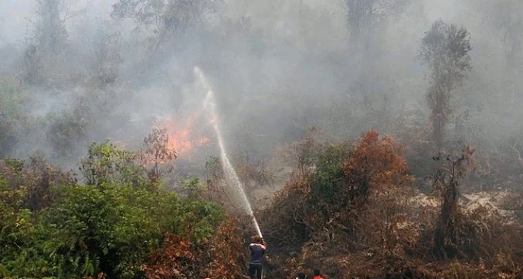 Kebakaran Hutan di Indonesia: Ancaman Besar bagi Lingkungan dan Kesehatan Masyarakat