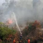 Kebakaran Hutan di Indonesia: Ancaman Besar bagi Lingkungan dan Kesehatan Masyarakat